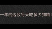 一年的边牧每天吃多少狗粮
