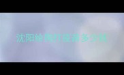 沈阳给狗打疫苗多少钱