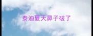 泰迪夏天鼻子破了
