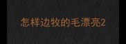 怎样边牧的毛漂亮