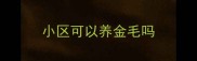 小区可以养金毛吗