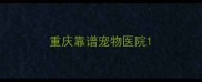 重庆靠谱宠物医院