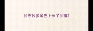 拉布拉多尾巴上长了肿瘤