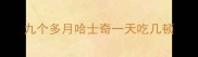 九个多月哈士奇一天吃几顿