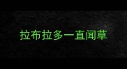 拉布拉多一直闻草