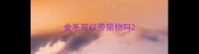 金毛可以带猎物吗