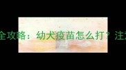罗威纳犬疫苗接种全攻略幼犬疫苗怎么打注意事项与常见问题
