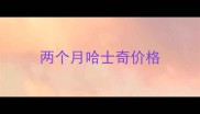 两个月哈士奇价格