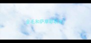 金毛和萨摩耶联名