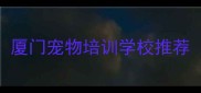 厦门宠物培训学校推荐