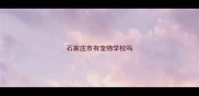 石家庄市有宠物学校吗