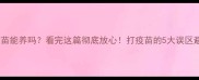 宠物未打疫苗能养吗看完这篇彻底放心打疫苗的5大误区避坑指南