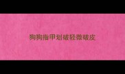 狗狗指甲划破轻微破皮