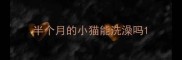 半个月的小猫能洗澡吗