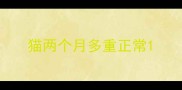 猫两个月多重正常
