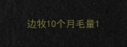 边牧10个月毛量