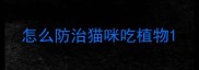 怎么防治猫咪吃植物