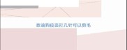 泰迪狗疫苗打几针可以剪毛