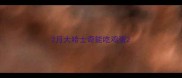 2月大哈士奇能吃鸡蛋