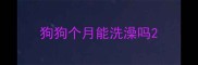 狗狗个月能洗澡吗