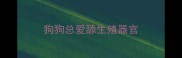 狗狗总爱舔生殖器官
