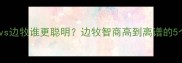 金毛vs边牧谁更聪明边牧智商高到离谱的5个证据