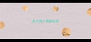 多大的小狗能洗澡