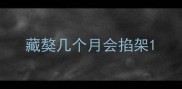 藏獒几个月会掐架