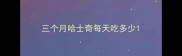 三个月哈士奇每天吃多少