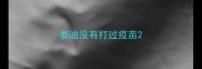 泰迪没有打过疫苗