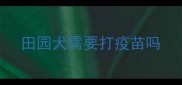 田园犬需要打疫苗吗