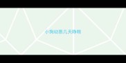 小狗幼崽几天睁眼