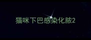 猫咪下巴感染化脓