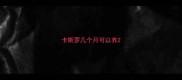 卡斯罗几个月可以养