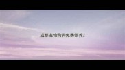 成都宠物狗狗免费领养