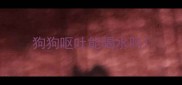 狗狗呕吐能喝水吗