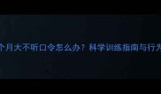 泰迪两个月大不听口令怎么办科学训练指南与行为矫正全