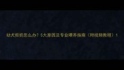 幼犬拒奶怎么办5大原因及专业喂养指南附视频教程