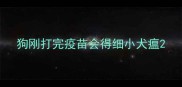 狗刚打完疫苗会得细小犬瘟