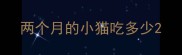 两个月的小猫吃多少