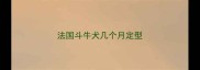法国斗牛犬几个月定型