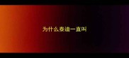 为什么泰迪一直叫