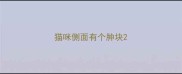 猫咪侧面有个肿块