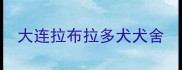 大连拉布拉多犬犬舍