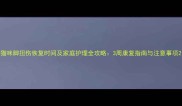 猫咪脚扭伤恢复时间及家庭护理全攻略3周康复指南与注意事项