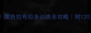 新手必看黑色拉布拉多训练全攻略附120天养成指南