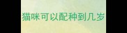 猫咪可以配种到几岁