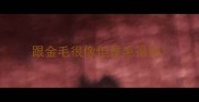 跟金毛很像但是毛很短