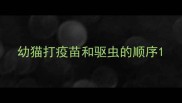 幼猫打疫苗和驱虫的顺序