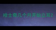 哈士奇几个月开始立耳